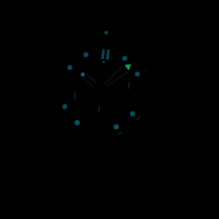 Montre Omega Seamaster Diver 300M co-axial Chronograph automatique 212.30.42.50.03.001 homme