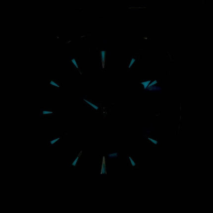 Omega Seamaster Aqua Terra Master Co-Axial Chronometer 231.10.39.21.03.002 montre homme