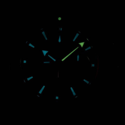Montre Omega Seamaster Planet Ocean 600M Co-Axial Chronometer 232.30.46.51.01.002 masculin