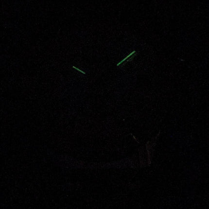 Montre Bulova Marine Star 98R234 diamant Accent Quartz féminin