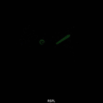 Montre Nixon 51-30 Chrono Quartz 300M A083-1061-00 homme