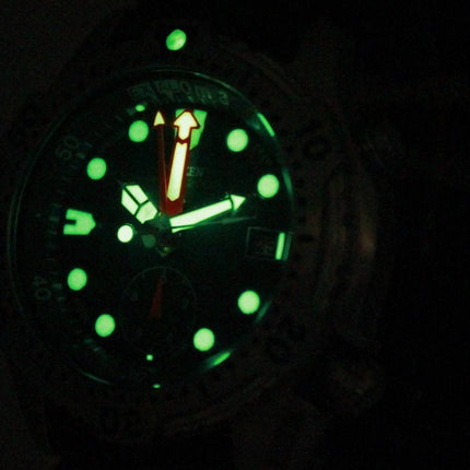Montre Citizen Promaster Sea Collection Divers AL0000-04F hommes