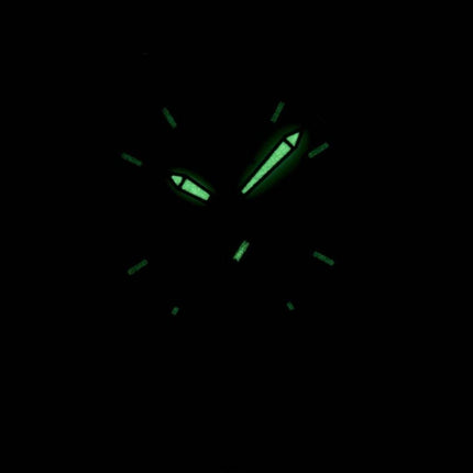 Montre Citizen Quartz AO3010-05 a masculine