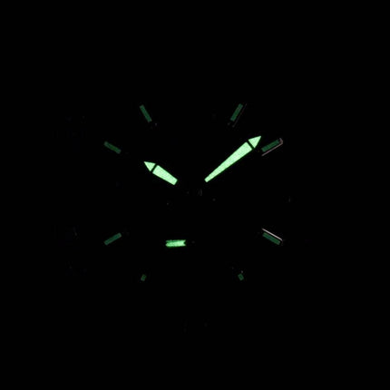 Montre Citizen Quartz analogique AO3010-05F masculine