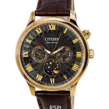 Citizen Eco-Drive Phase de Lune Multifonction Cadran Noir AP1059-19E HORS Montre Homme