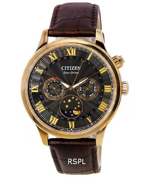 Citizen Eco-Drive Phase de Lune Multifonction Cadran Noir AP1059-19E HORS Montre Homme