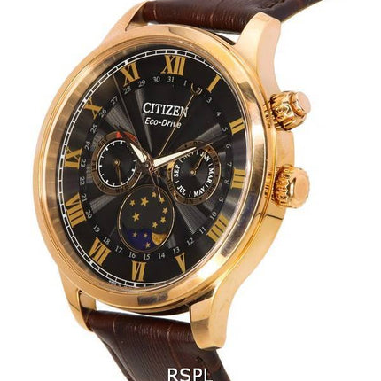 Citizen Eco-Drive Phase de Lune Multifonction Cadran Noir AP1059-19E HORS Montre Homme