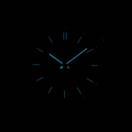 Montre Citizen Eco-Drive analogique AW0030-55E masculine