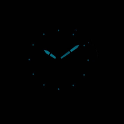 Montre Citizen Eco-Drive AW0050-58 L masculin