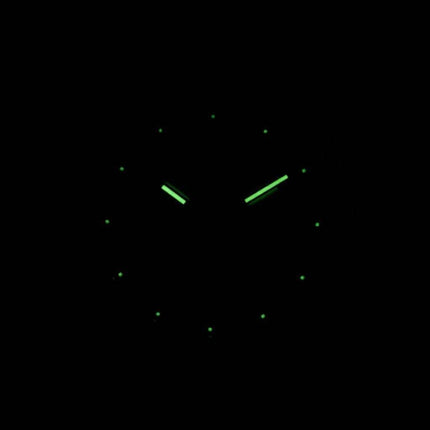 J.Springs par Seiko automatiques 21 rubis Japon fait BEB529 montre homme