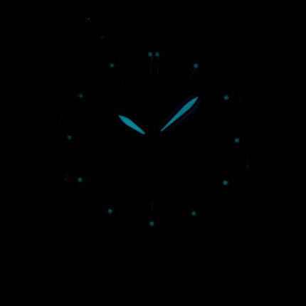 Montre Citizen Quartz analogique BF0584-56 a masculine