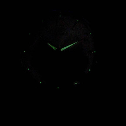 Montre Citizen BF2009-29X Quartz pour homme