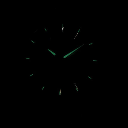 Montre Citizen Quartz BF2013-56 P masculine