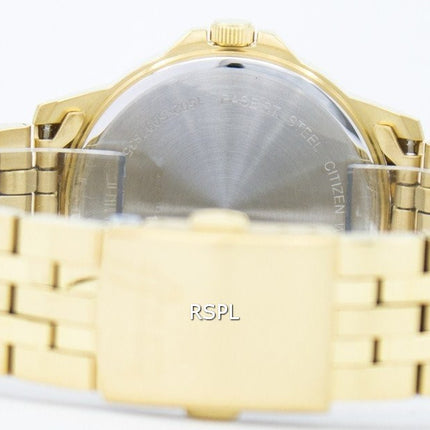 Montre Citizen Quartz BF2013-56 P masculine