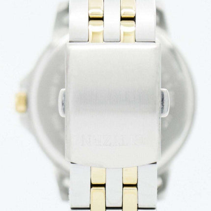 Montre Citizen Quartz BF2018-52E masculine