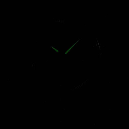 Montre Citizen Quartz BI1081-52E masculine