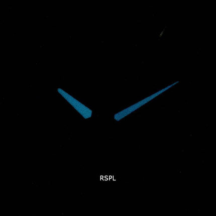 Montre Citizen Eco-Drive BL8150-86H Calendrier perpétuel pour hommes