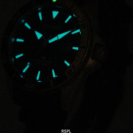Citizen Eco-Drive Professional Divers BN0104-09E