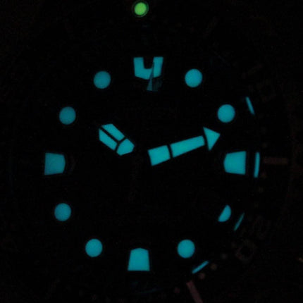 Montre 200M BN0150-61F masculine Citizen Eco-Drive Promaster Marine Diver