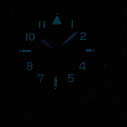 Montre Citizen Promaster Nighthawk BX1010-02E World Time Eco-Drive 200M pour homme
