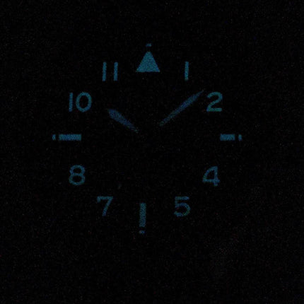 Montre Citizen Promaster Nighthawk BX1010-11L World Time Eco-Drive 200M pour homme