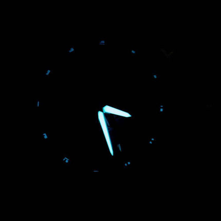 Montre Citizen Eco-Drive Satellite Attesa Satellite Air 100M CC1091-50F pour homme