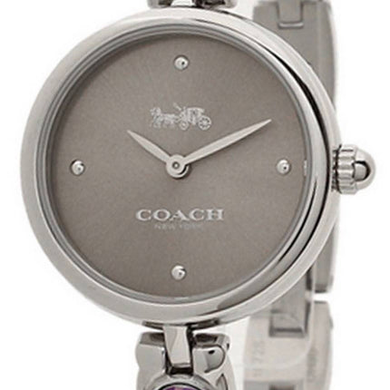 Montre Femme Coach Park Cadran Gris Acier Inoxydable Quartz 14503444