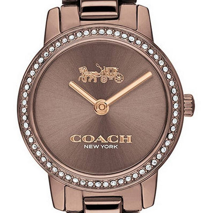 Montre Femme Coach Audrey Crystal Accents Acier Inoxydable Quartz 14503501