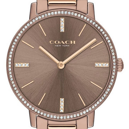 Coach Audrey Crystal Accents Montre Femme Quartz Acier Inoxydable Deux Tons 14503502