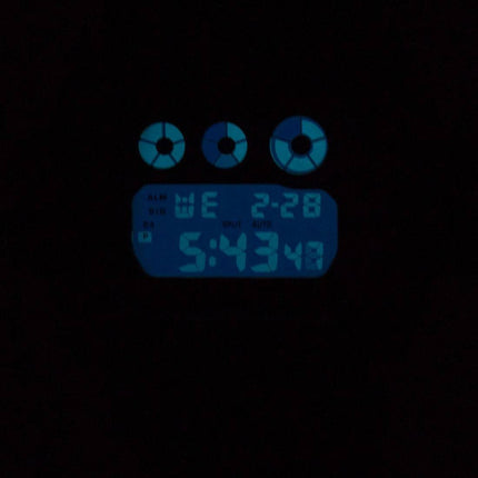 Montre Casio G-Shock DW-6900MS - 1D DW-6900MS-1