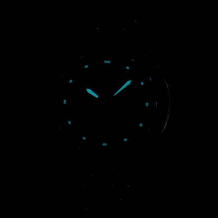 Citizen Eco-Drive Radio Controlled ES4020-53E Women Watch