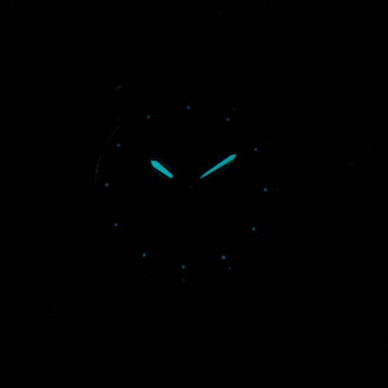 Montre Citizen Eco-Drive EW3144-51 a féminin