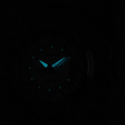 Montre Citizen Eco-Drive analogique FE1010-57 b cadran argenté femmes