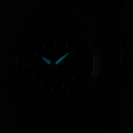 Montre Citizen Eco-Drive analogique cadran noir FE1010-57F féminin