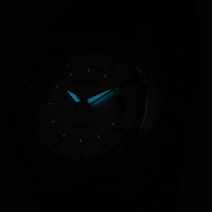 Montre Citizen Eco-Drive Power Reserve FE1011-03 b féminin