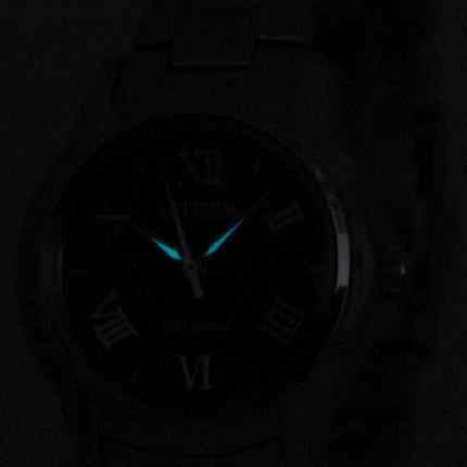 Montre femmes Citizen Eco-Drive FE2010-51F