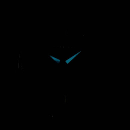 Chandler Citizen Eco-Drive analogique GA1039-53E Women Watch