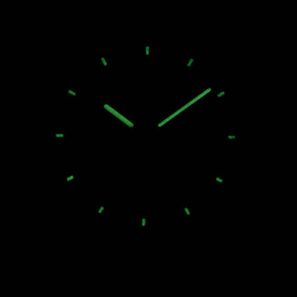 Montre unisexe Swatch Originals Sir bleu Quartz GN718
