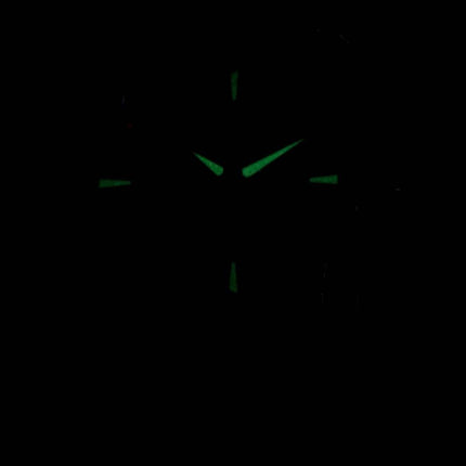 Montre Hamilton Ventura Elvis80 automatique H24555181 masculin