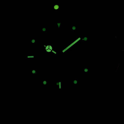Montre Homme Invicta Pro Diver 28948 Automatic 200M