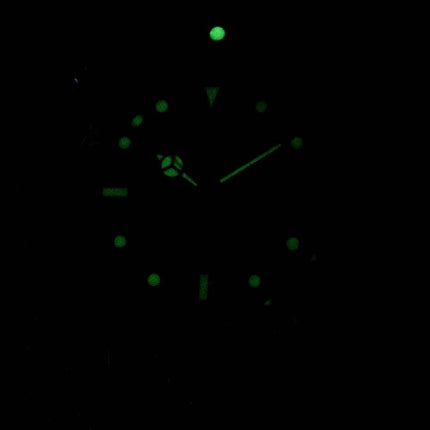 Montre Invicta Pro Diver Professional 29176 automatique 200M masculin