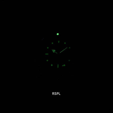 Invicta Pro Diver Professional 29178 automatique analogique montre 200M masculin