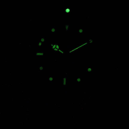 Invicta Pro Diver Professional 29182 automatique analogique montre 200M masculin