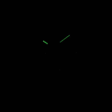 Montre Casio Montres LTP-V300D-1A2 LTPV300D-1A2 Quartz