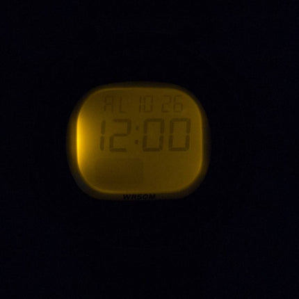 Casio Illuminator heure double alarme numérique LW-203-1AV LW203-1AV Women Watch