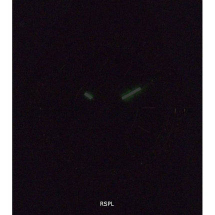 Fossil Stella Crystal Accents Coeur Ouvert Cadran Marron Automatique ME3211 Montre Femme