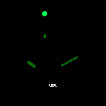 Michael Kors Bayville MK8727 Quartz chronographe montre homme