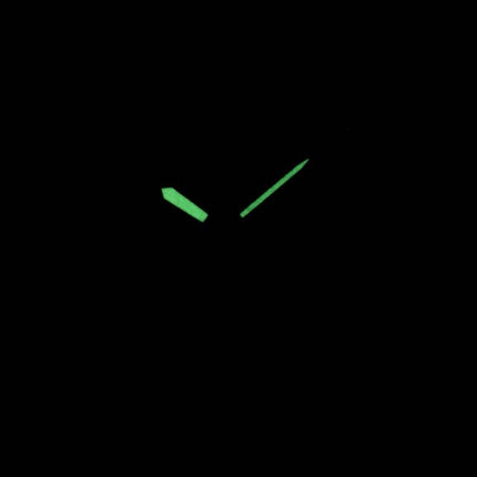 Montre Casio analogique Quartz MW-240-2BV masculine