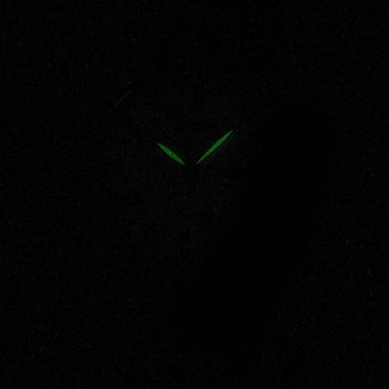 Montre Citizen Automatic NH8350-59A pour hommes