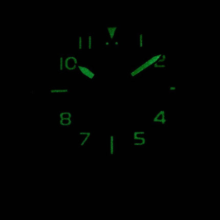 Montre pour homme Citizen Automatic NJ0100-20L